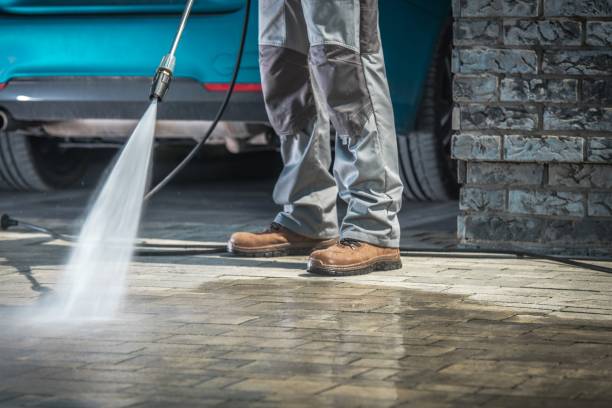 Best Boat and Dock Cleaning  in Ivanhoe, TX